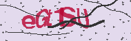 Codigo Captcha