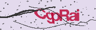 Codigo Captcha