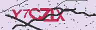 Codigo Captcha