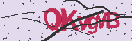 Codigo Captcha