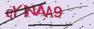 Codigo Captcha